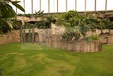 leipzig zoo-01_07_2011_gondwanaland_168